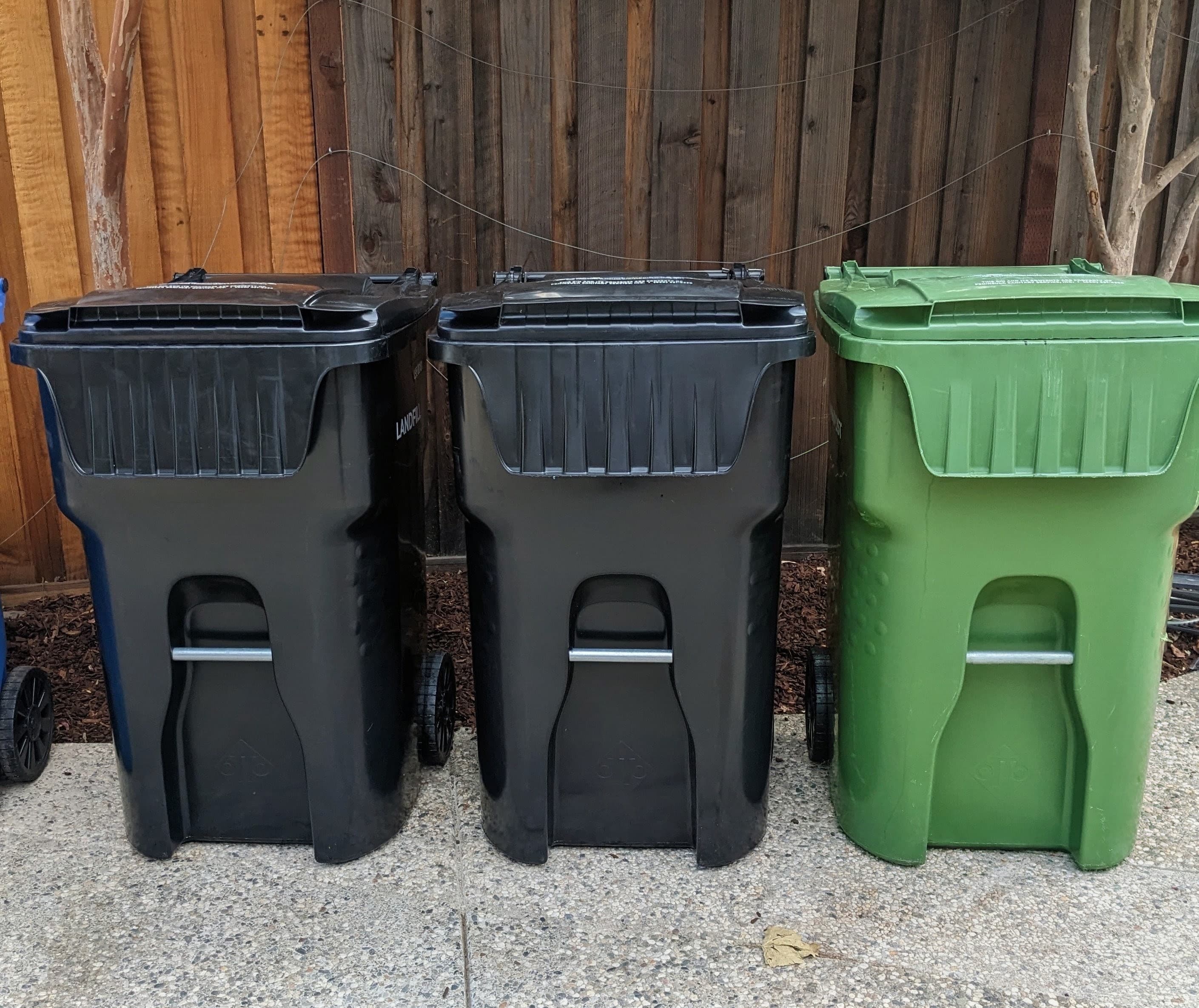 Three large plastic trash bins, two black and one green, against a wooden fence.