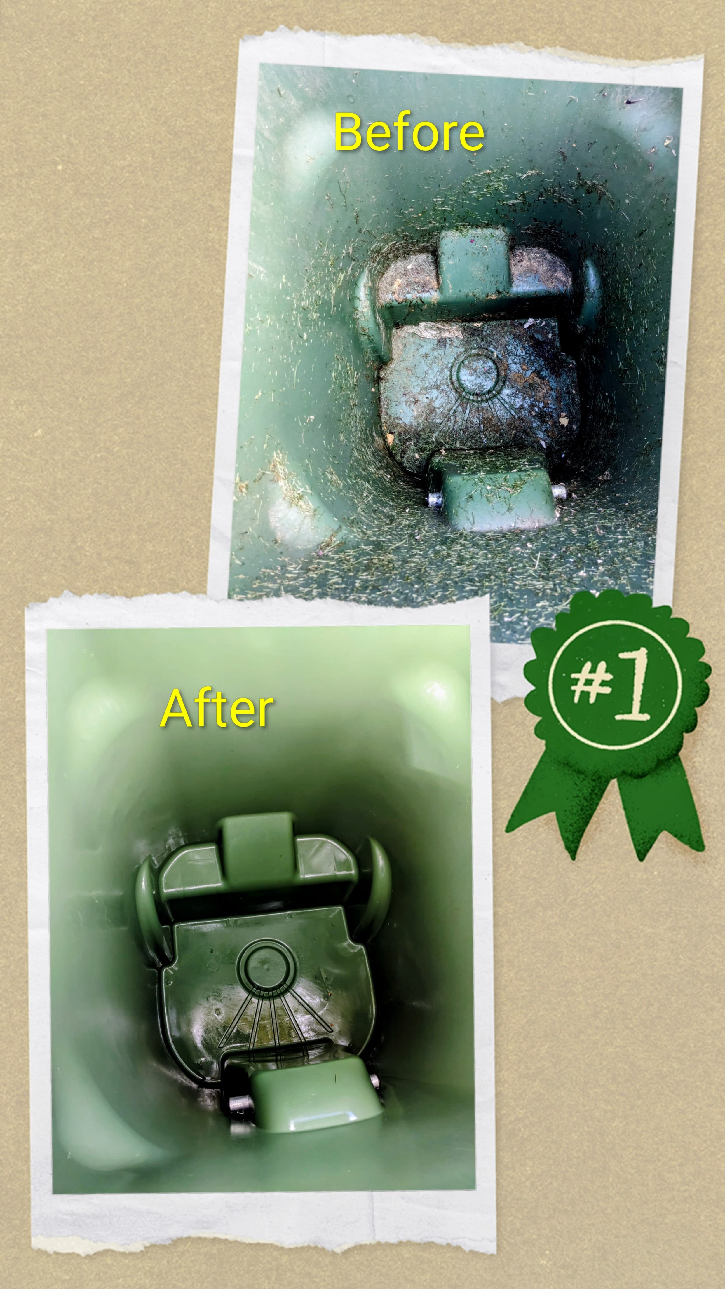 Before and after photos showing a dirty green bin interior transformed into a sparkling clean state.
